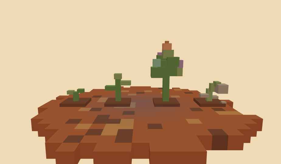 Seedlings in the open ground